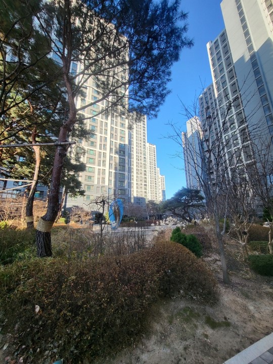 노빌리티3