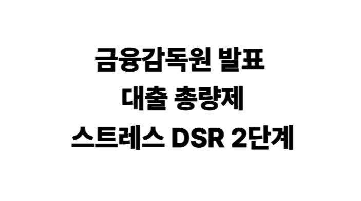 [건부기] 금감원발 대출총량제와 스트레스 DSR 2단계